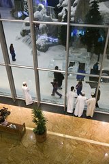 В жару искусственные острова Дубая покроют  снегом
