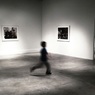 Украсть за 30 секунд: из галереи в США за полминуты похитили гравюру Дали