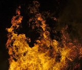 Губернатор Иркутской области объявил режим ЧС в регионе из-за лесных пожаров