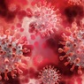 В Роспотребнадзоре рассказали, как изменились симптомы коронавируса