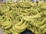 Бананы в России подорожали до максимума пятнадцатилетней давности