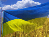 Украинская бизнесвумен призвала "давить этнических русских танками"