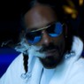 На концерте Snoop Dogg ограждение придавило полсотни человек
