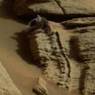 На Марсе обнаружили скелет древней рептилии