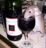 Виноград помог мышам похудеть. Поможет ли "виноградная" диета людям?