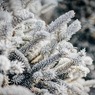 Синоптики пообещали москвичам сильные морозы в Рождество