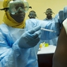 Минздрав пугает россиян Эболой