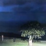 Австралийская полиция опубликовала видео странного объекта, бороздящего небо