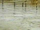 Дополнительные силы МЧС брошены в зону паводка в Приморье