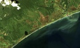 Назван предполагаемый виновник загрязнения океана на Камчатке