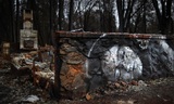 Художник создал серию граффити на руинах сгоревшего города Парадайс
