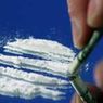 Ямальского чиновника оштрафовали за кокаин (ФОТО)