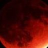 В среду над Землей взойдет «кровавая Луна»