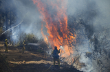Пожар унес жизни пяти человек в Тюмени