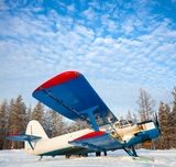 СК возбудил дело после экстренной посадки самолёта Ан-2 в лесу под Архангельском