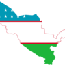 В Узбекистане начались президентские выборы