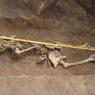 Украинские археологи нашли древнюю могилу ведьмы