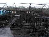 Сотрудника МЧС задержали после пожара в лагере в Хабаровском крае