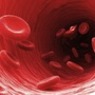 Ученые нашли заменитель человеческой крови в сахарной свекле