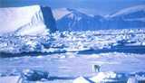 В Арктике нашли пропавший корабль экспедиции Франклина