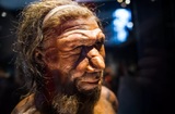 Насколько умны были неандертальцы