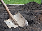 Садовод признался, что закопал труп своего брата на участке в Подмосковье