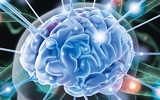 Ученые разработали протез для головного мозга