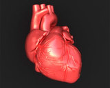 Ученые предупредили: даже приятные сюрпризы вредны для сердца
