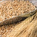 Румыния отказалась продавать зерно другим странам во время пандемии