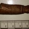 Пенис мамонта найден в британском графстве Норфолк