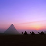 МИД рекомендует туристам отдыхать в пределах курортных зон Египта