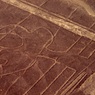 Учёные нашли новые таинственные рисунки на плато в Перу