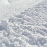 Петербургские власти отчитались об уборке снега