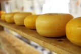 В России отменили ограничения на поставки белорусского сыра