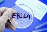 Канада поставит ВОЗ экспериментальную вакцину против Эболы