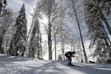 Норвежские лыжницы взяли золото в командном спринте на ОИ, Россия - 6-я