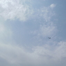На реактивном ранце-крыле над песками Дубаи (ВИДЕО)