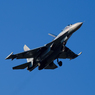 СМИ назвали имя пилота, погибшего при крушении Су-27 в Житомирской области Украины