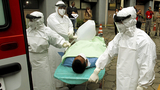 Лихорадка Эбола добралась до Майами