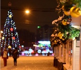 Мэр Кемерова объяснил покупку новогодней ёлки за 18 млн рублей