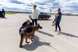 Хоть за перелет собаки и заплачено: на разгрузке багажа в Шереметьево снова покалечили пса