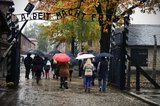 Польша: В Освенцим - с гидом