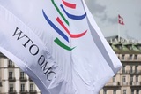 В споре с ЕС по третьему энергопакету ВТО поддержала Россию, но частично