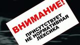 Госдума сегодня рассмотрит «антишнуровский» законопроект