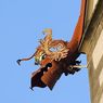Древний уэльский дракон уже не пышет огнем (ФОТО)