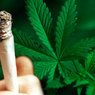Любители травки в Колорадо пострадали от легализации марихуаны