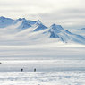 Депутаты раскрыли стоимость своей вылазки в Антарктиду