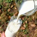 Роспотребнадзор изъял 19 тонн некачественной молочной продукции за три месяца