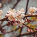 Роструд напомнил о двух коротких рабочих неделях в мае