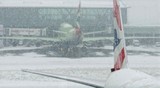 В московских аэропортах отменили 80 авиарейсов из-за снегопада